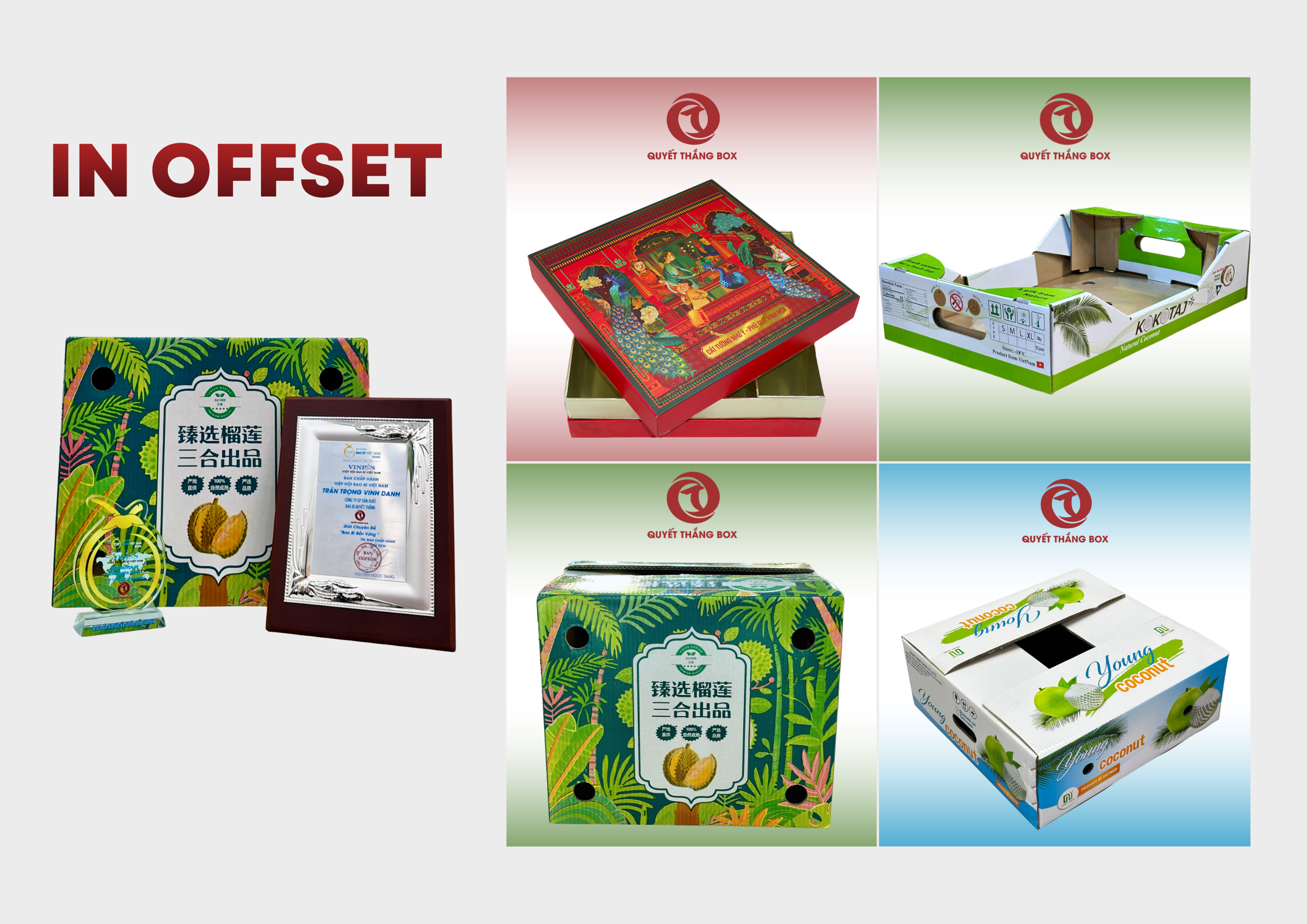 Mẫu thùng carton in ấn offset của Quyết Thắng Box