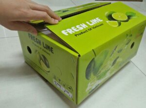 Chuyên Cung Cấp Thùng Carton Đựng Chanh Chất Lượng Cao