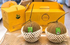 thùng carton đựng dưa lưới