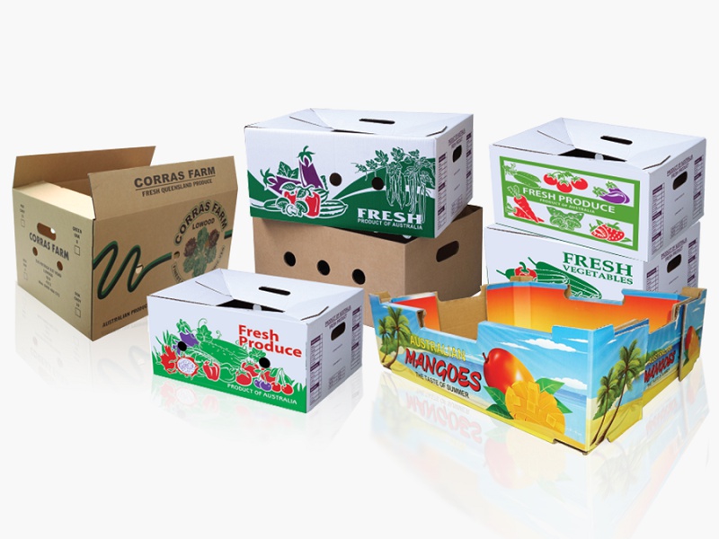 Thùng carton chống ẩm xuất khẩu 1