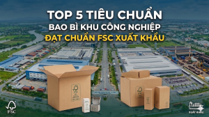 Top 5 Tiêu Chuẩn Bao Bì Khu Công Nghiệp Đạt Chuẩn FSC Xuất Khẩu