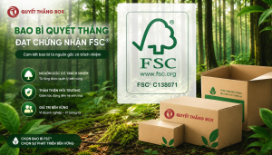 FSC Chain of Custody — Truy xuất nguồn gốc nguyên liệu giấy