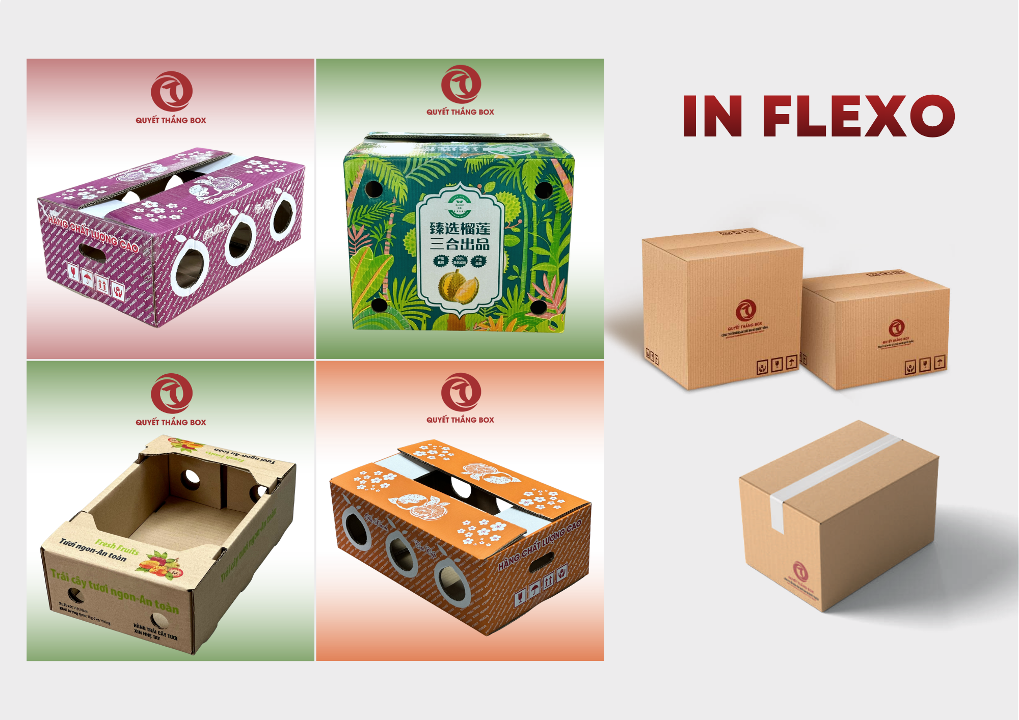 Các mẫu in hộp giấy Flexo tiêu biểu của Quyết Thắng Box 