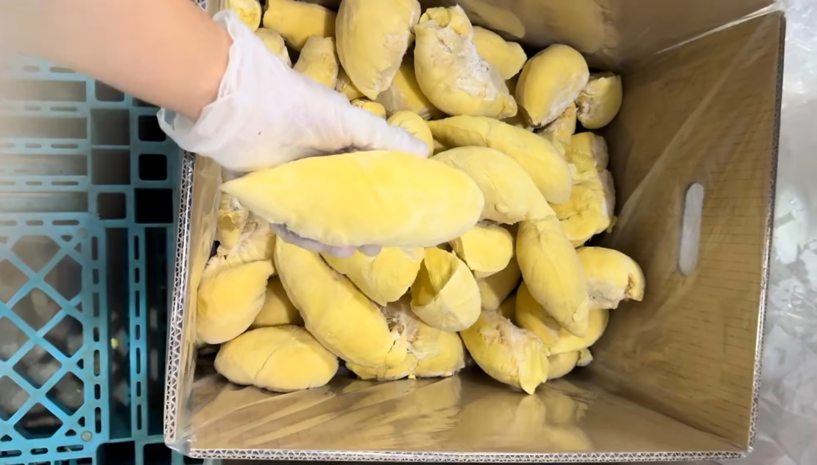 Quyết Thắng Box sản xuất thùng sầu riêng múi cấp đông