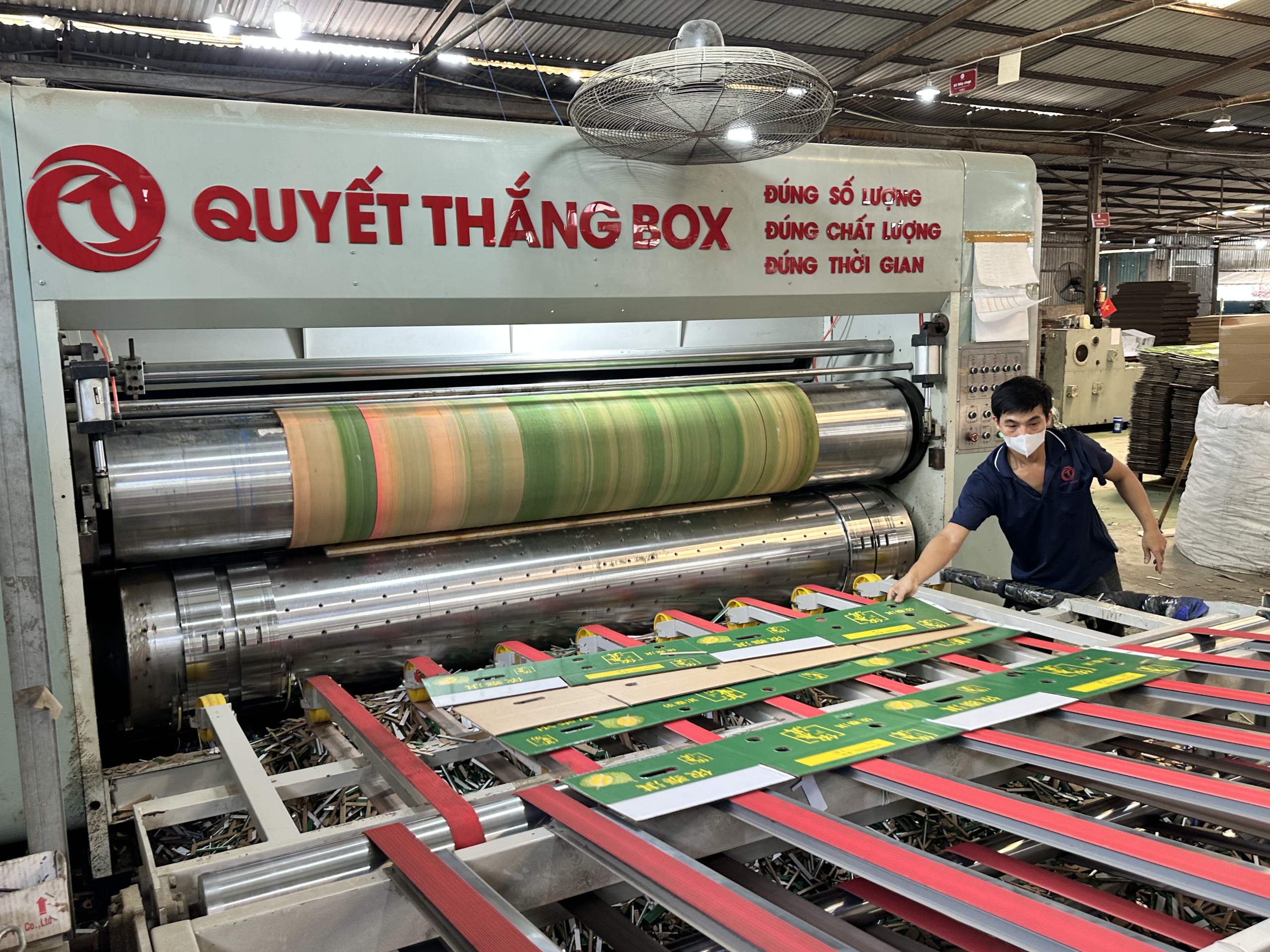 In Flexo Và In Offset Thùng Carton Nên Chọn Phương Pháp Nào
